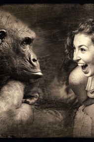 Proliferação de imagens, triunfo de simulacros