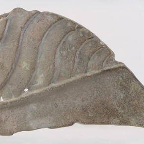 Ancient sindica and semibratneye site: The 150th anniversary of the study. Courtesy of the State Hermitage Museum