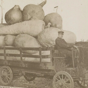 Fake! Courtesy of Rijksmuseum