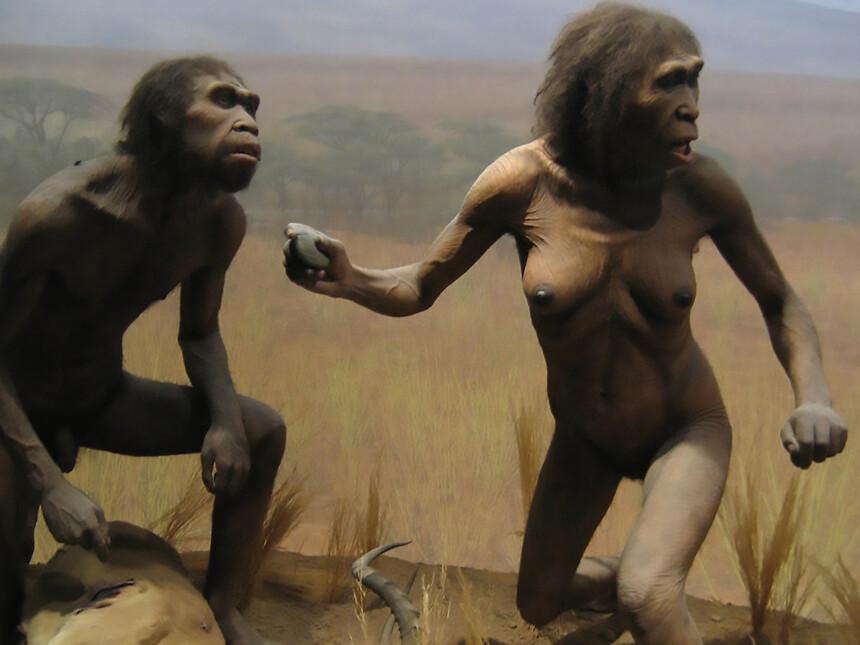 The month we became a new species