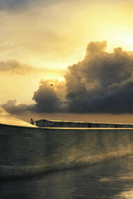 The Noah Ark