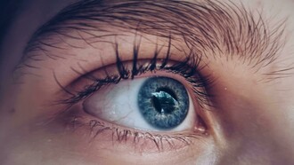 Durante muito tempo, fomos ensinados a ver o corpo como um sistema mecânico. Um conjunto de peças que funcionam bem até que, de repente, algo quebra. Nessa lógica, a emoção aparece apenas como um "fator de risco": estresse, ansiedade, raiva. Mas e se for o contrário? E se a emoção for o ponto de partida? E se saúde for menos sobre "evitar a doença" e mais sobre sustentar um estado de presença consigo mesmo?