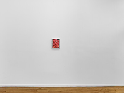 Lauren Spencer King, In pursuit, exhibition view. Courtesy of Regards Gallery