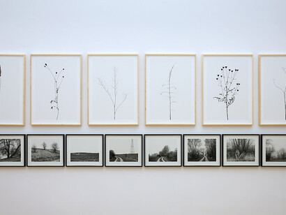 Various artists, On land, exhibition view. Courtesy of Museum der bildenden Künste Leipzig