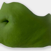 Misha Japanwala, Flourish, 2025. Courtesy of Hannah Traore Gallery. Photo by Tonje Thilesen