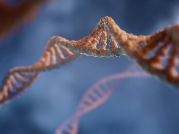 L’ordre émerge du désordre : les molécules dialoguent, se reconnaissent, se régulent — une cybernétique invisible gouvernant la vie à l’échelle du gène