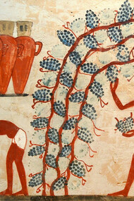 La raccolta del vino nell'antico Egitto