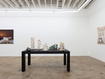 Rob Davis, Lace, exhibition view. Courtesy of Nina Johnson Gallery
