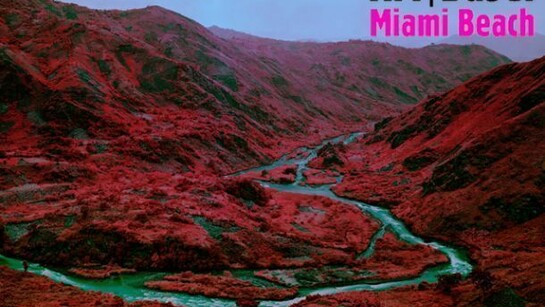 Richard Mosse, Love is the Drug, 2012 Jack Shainman Gallery New York