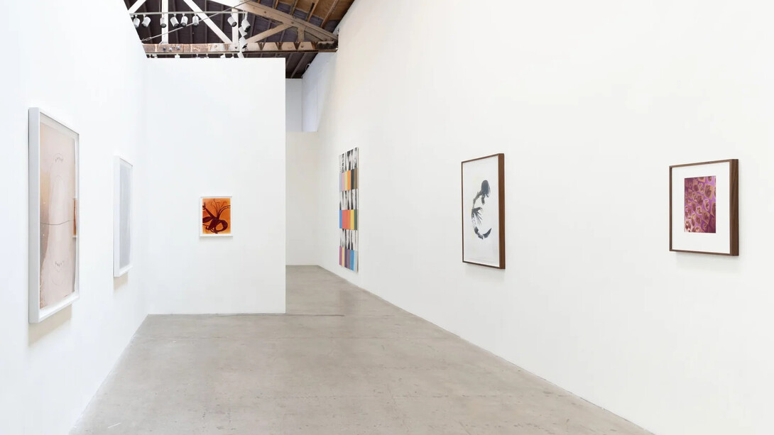 Kunié Sugiura, X-ray island, exhibition view. Courtesy of Moskowitz Bayse 