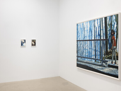 Philipp Fröhlich, La cavale, vista de exhibición. Cortesía de la Galería Juan Silió 