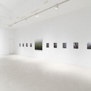 Stijn Cole, El tiempo suspendido, exhibition view. Courtesy of Galería Hilario Galguera