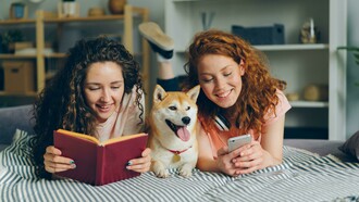Passando pelos familiares e igualmente ficcionais Biruta (Lygia Fagundes Telles), Bruno Lichtenstein (Rubem Braga), Firififi (Dalton Trevisan), Garm (o cão falante de J. R. R. Tolkien no “Farmers Giles of Ham”), Japir (José de Alencar), Madrugada (Orígenes Lessa), Mila (Carlos Heitor Cony), Perigo (Domingos Pellegrini), Pingo-de-ouro (Guimarães Rosa), Plutão (Olavo Bilac), Quincas Borba (Machado de Assis), Samba (Maria José Dupré), Tentação (Clarice Lispector), Toto (de Dorothy, n’O Mágico de Oz), Tusca (Marina Colasanti), Uno (Walcir Carrasco), Veludo  (Luiz Guimarães), Zig (Rubem Braga) e os da BD Milu (de Tintim), Idéiafix (de Obélix), até aos reais de Arthur Schopenhauer (Butz), Clarice Lispector (Ulisses), Dorothy Parker (Misty), John Steinbeck (Charley), Stephen King (Marlowe), Virginia Woolf (Pinka), até aos celebrizados pelo cinema. No conjunto, são uma espécie heterogénea que vai emergindo de uma vasta, genológica e modalizadamente diversa literatura, da épica à BD