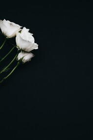 Uma singela homenagem no seu centenário