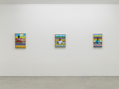 Lamar Peterson, The view from outside, exhibition view. Courtesy of Federicks & Freiser 