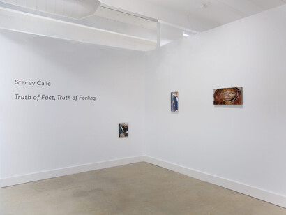 Stacey Calle, Truth of fact, truth of feeling, exhibition view. Courtesy of David Castillo Gallery