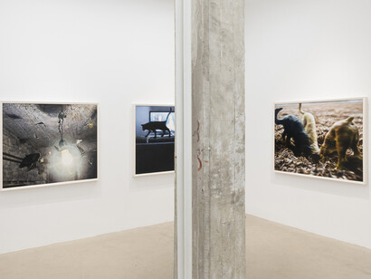 Philipp Fröhlich, La cavale, exhibition view. Courtesy of Galería Juan Silió