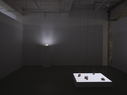 Wing Po So, Polyglot, exhibition view. Courtesy of Blindspot Gallery