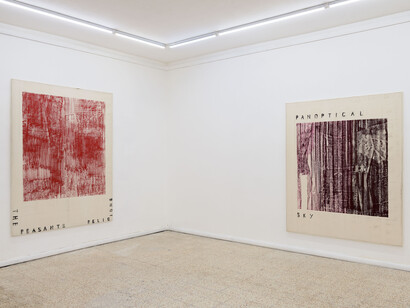 Fabian Herkenhoener, Lumpen void, exhibition view. Courtesy of Contemporary Cluster. Photo by Roberto Apa