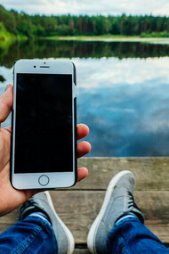 A person using his phone, oblivious to nature around them