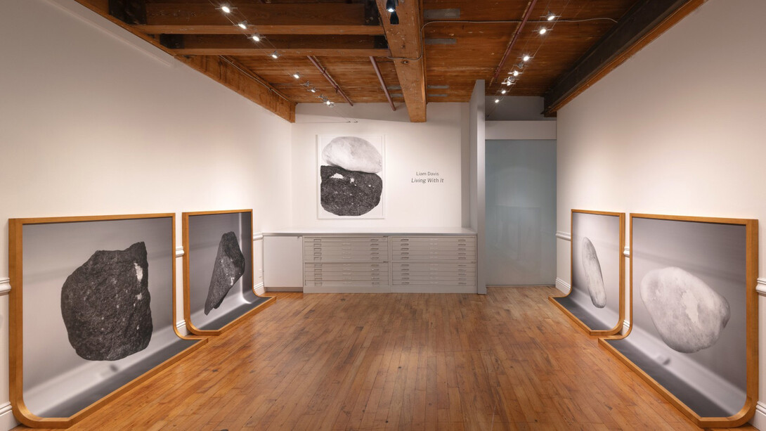 Liam Davis, Living with it, exhibition view. Courtesy of Goya Contemporary Gallery 