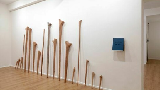 Richard Nonas, 4 Y Posts, 18 legni intagliati, 2009, dimensioni varie / 18 carved woods, variable size . A hundred thirty five Eskimo nights, 1999 (libro d’artista, 300 esemplari, ed.Hubert Winter, Vienna) / (artist book, 300 copies, ed.Hubert Winter, Wien)