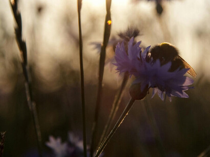 Encontrar un propósito implica reconocer la incomodidad de no saber y atreverse a explorar lo desconocido