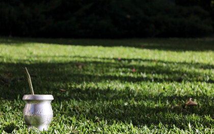 Compañero en el jardín del patio compartido, Buenos Aires, Argentina