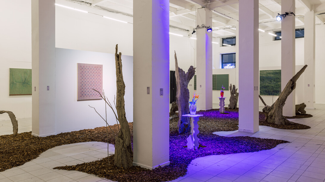 Tomáš Žemla, Off the beaten track, exhibition view. Courtesy of the Chemistry Gallery. Photo by Petr Kopal