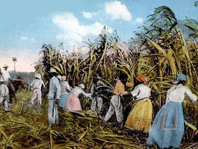 Cortando caña de azúcar, 1909, provincia de La Habana, Cuba
