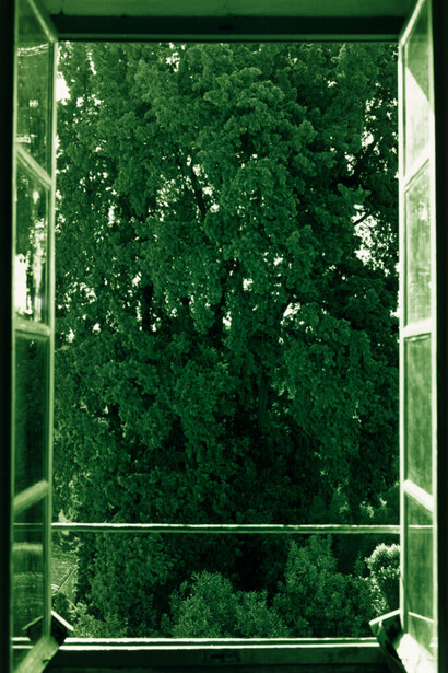 Language and image: conceptual and performance-based photography from the Jorge M. Pérez collection. Courtesy of Pérez Art Museum Miami (PAMM)