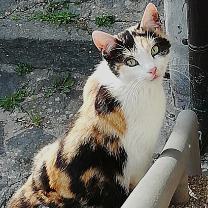 La piccola Arlecchina, abitante del borgo di Sipicciano (frazione di Graffignano), Viterbo, Italia. Foto di Antonio Arévalo
