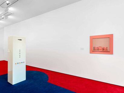 Taryn Simon, The game, vue d’exposition. Avec l’aimable autorisation de la galerie Almine Rech