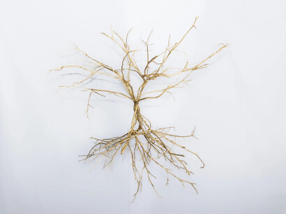 Edo Costantini, Solsticio de invierno: semillas de la nada, vista de exhibición. Cortesía de Praxis