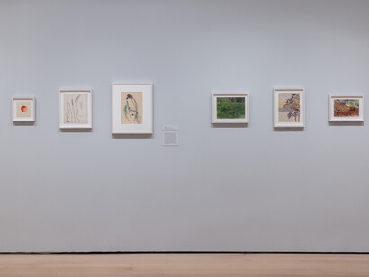 Hilma af Klint. What stands behind the flowers, exhibition view. Courtesy of MoMA